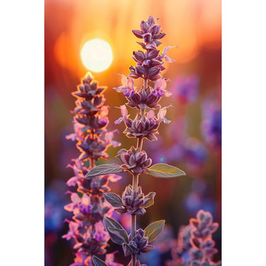 Purple and Yellow Flower Canvas